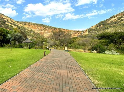 Walter Sisulu National Botanical Garden – A Lush Oasis for Nature Lovers and Hiking Enthusiasts!